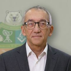 Лататье Владимир